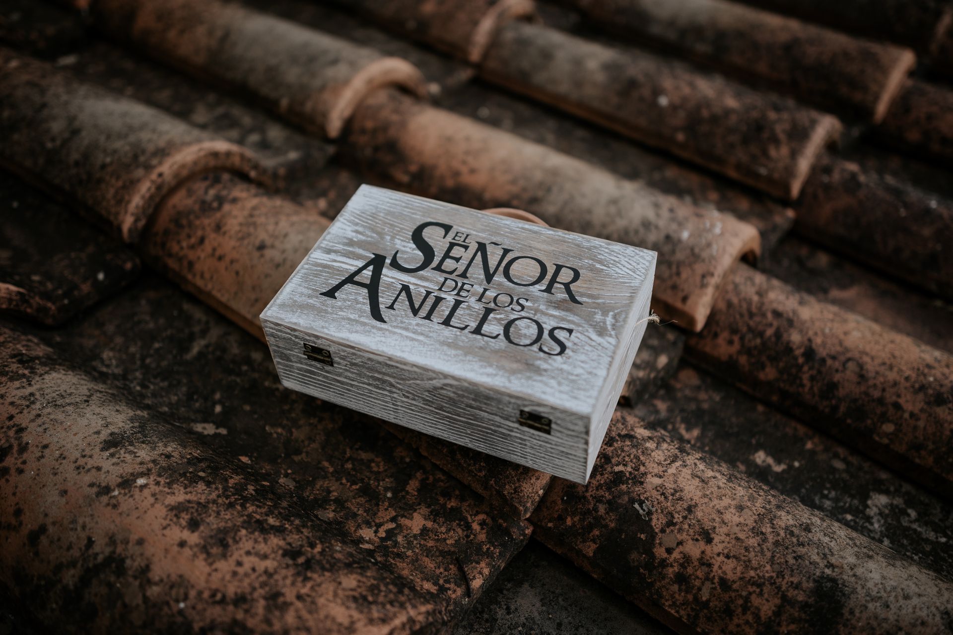 I Do Bodas Porta alianzas temática Señor de los anillos