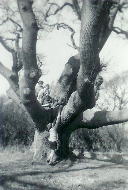 Shared Netley Village Stories - Wilson