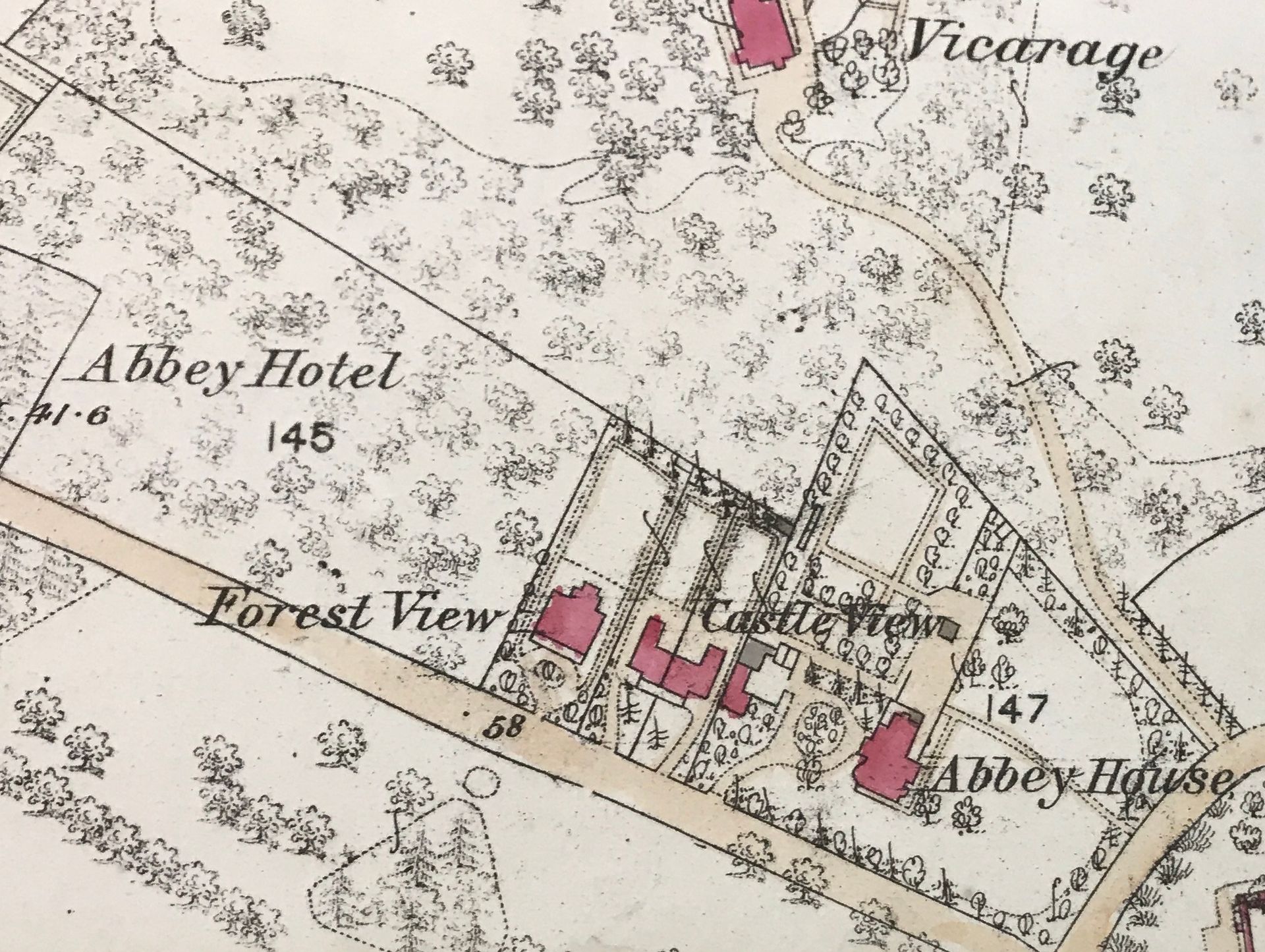 Hampshire Records Office Where was Castle View in Netley?