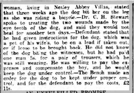 Hampshire Advertiser 10/06/1905 Netley Hospital Doggie Story
