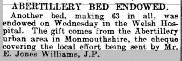 Western Mail 15/10/1914 Abertillery Bed at Welsh Hospital Netley