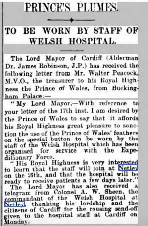 Western Mail 28/10/1914 Welsh Hospital Staff  + Prince of Wales' Plumes