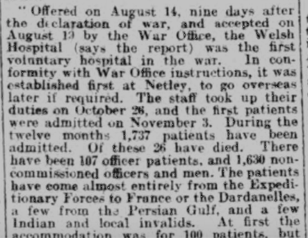 The Welsh Hospital at Netley - one year on