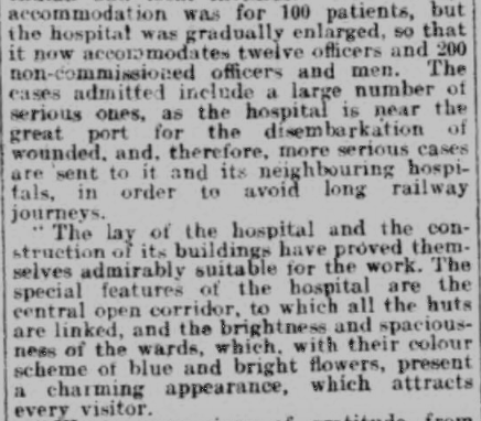 The Welsh Hospital at Netley - one year on
