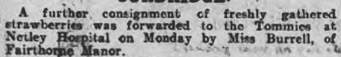 Where's the cream? Strawberries for the wounded at Netley Hospital