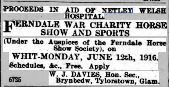 Horse Show In aid of Netley Welsh Hospital