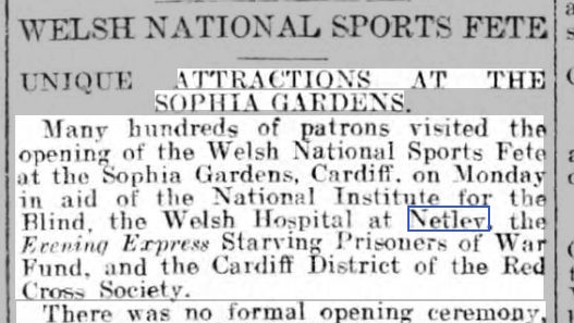 Cardiff Fete in aid of Welsh Hospital Netley