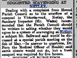 Past Lives + Times of Netley Village