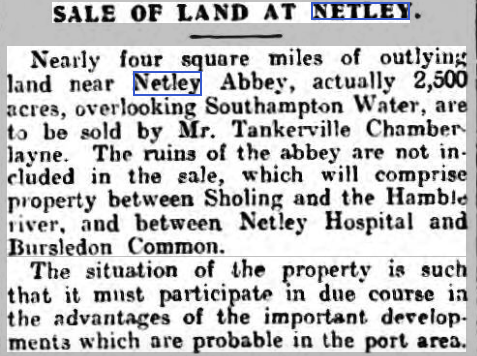 Past Lives + Times of Netley Village