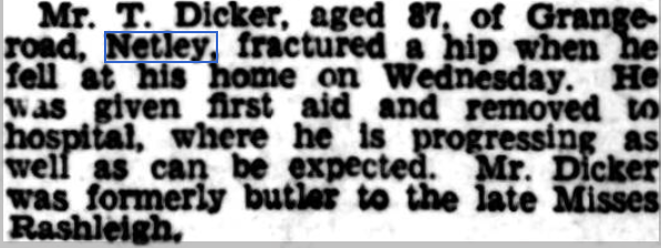 Past Lives + Times of Netley Village - Dicker