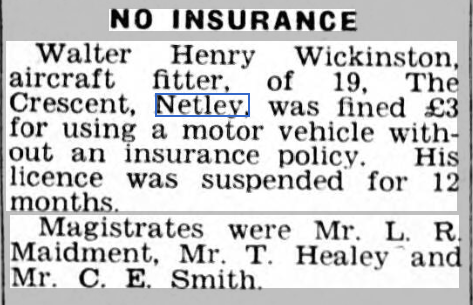 Past Lives + Times of Netley Village - Wickinston