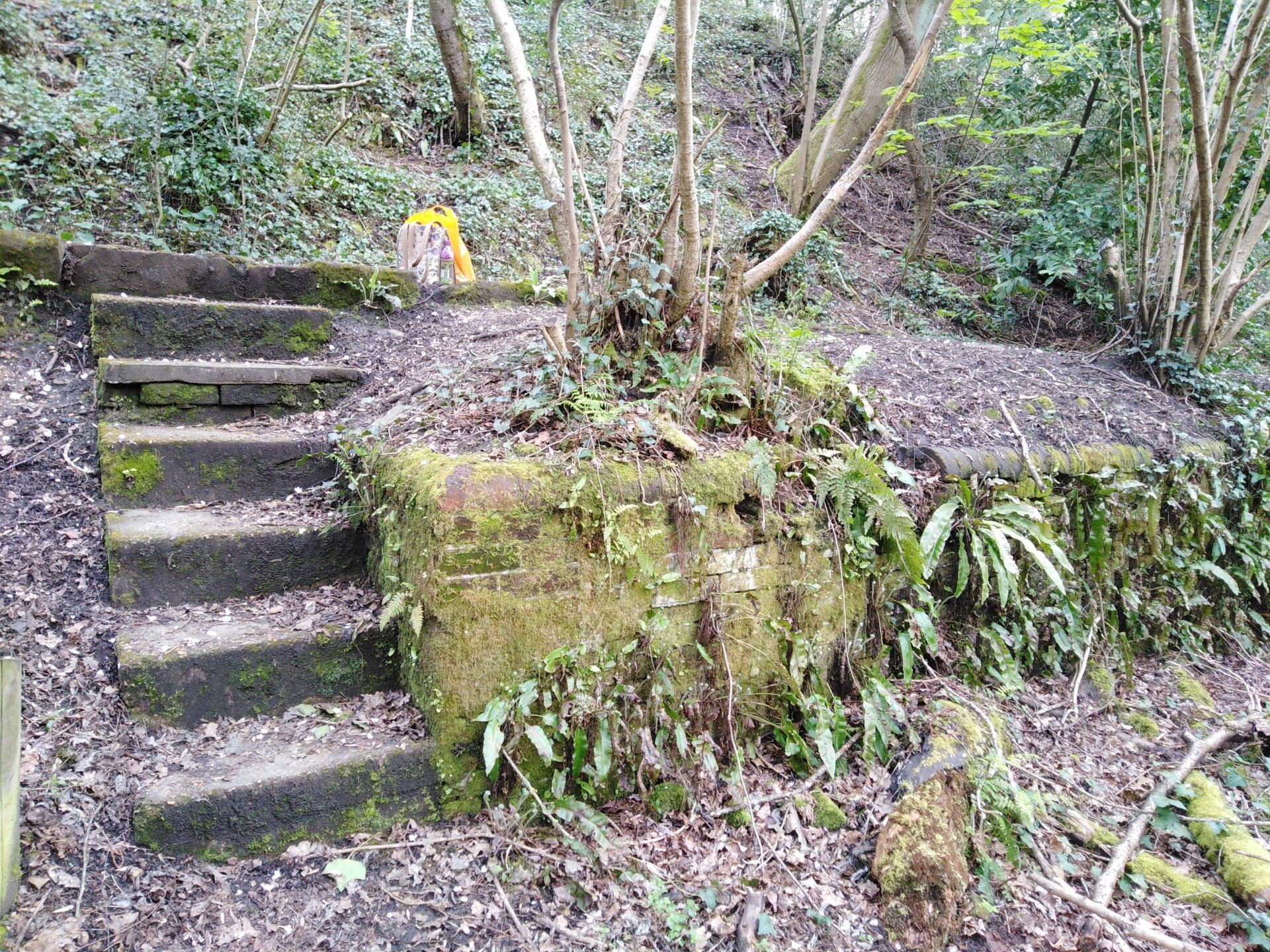 Netley Hospital Gas Works' site Gas Works' Ruins Netley