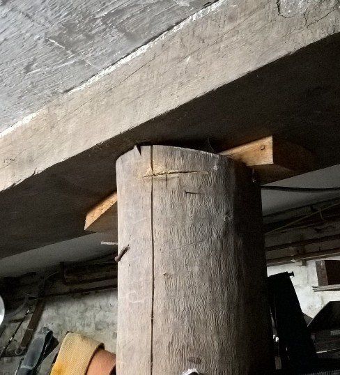 Tree Trunk in the Basement of No 6 Abbey Hill Houses