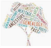 Shared Netley Abbey Village Stories