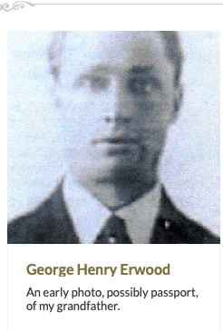 Past Lives + Times of Netley Hospital - Erwood