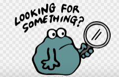 Netley's Lost buildings