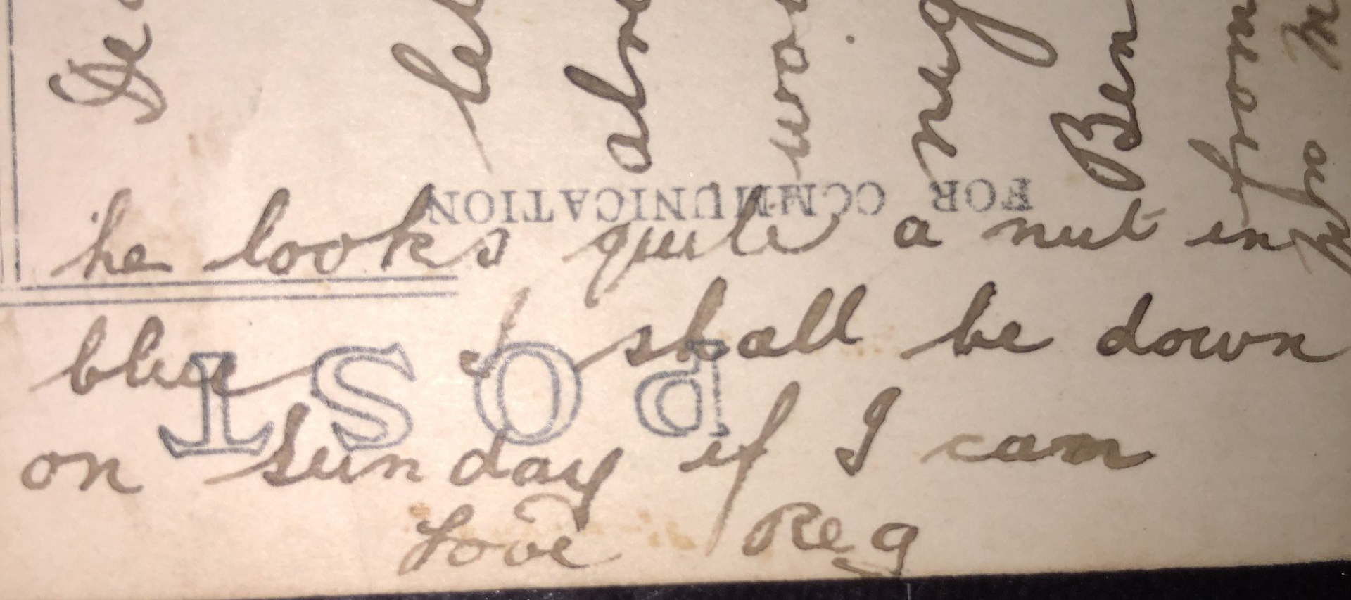 Past Lives + Times of Netley Village - Sellwood