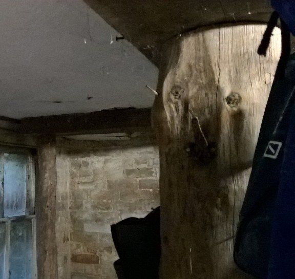 Basement of No 6 Abbey Hill Recycled Tree Trunks