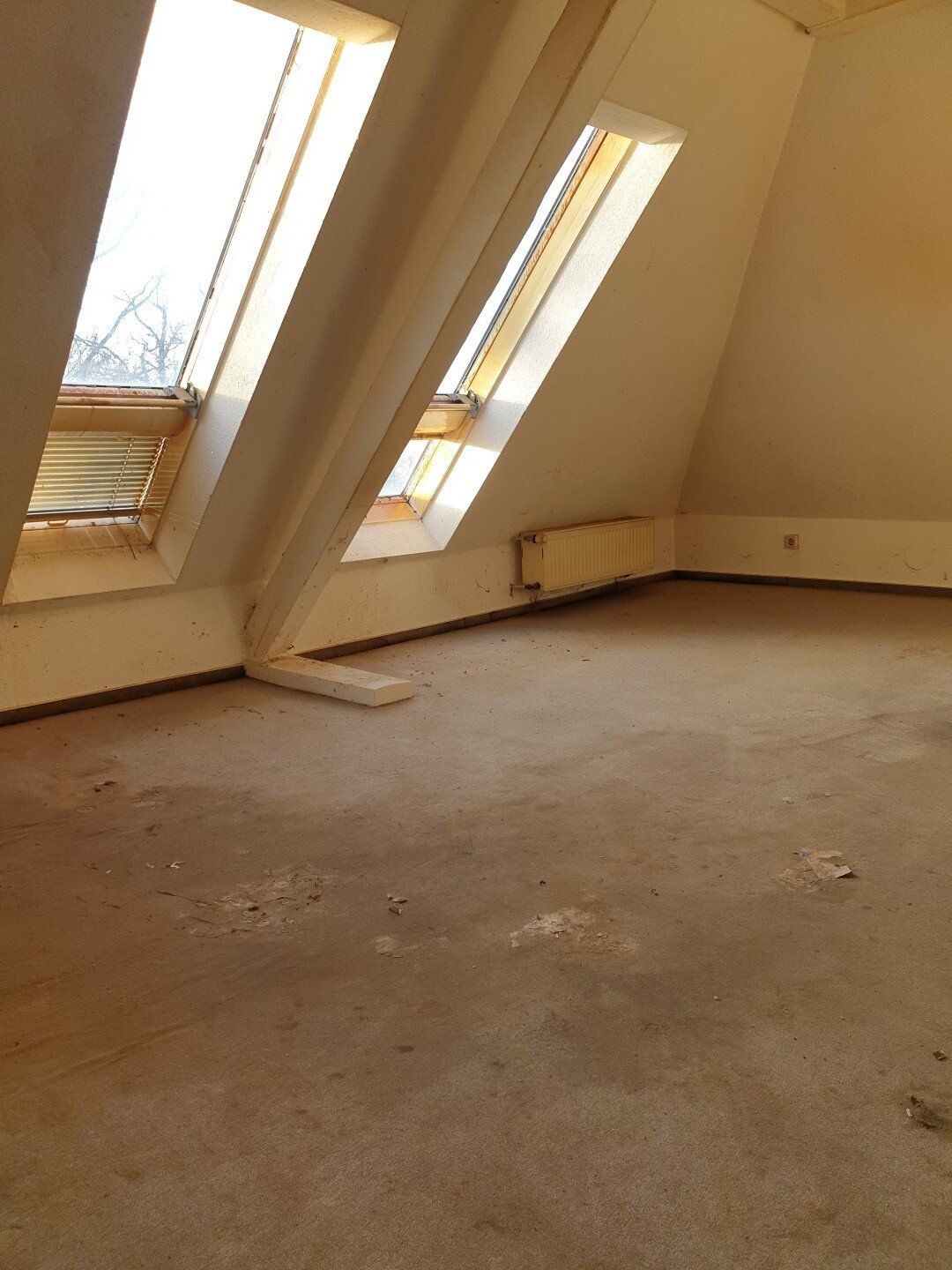 Das Original Sahin-Entrümpelung®