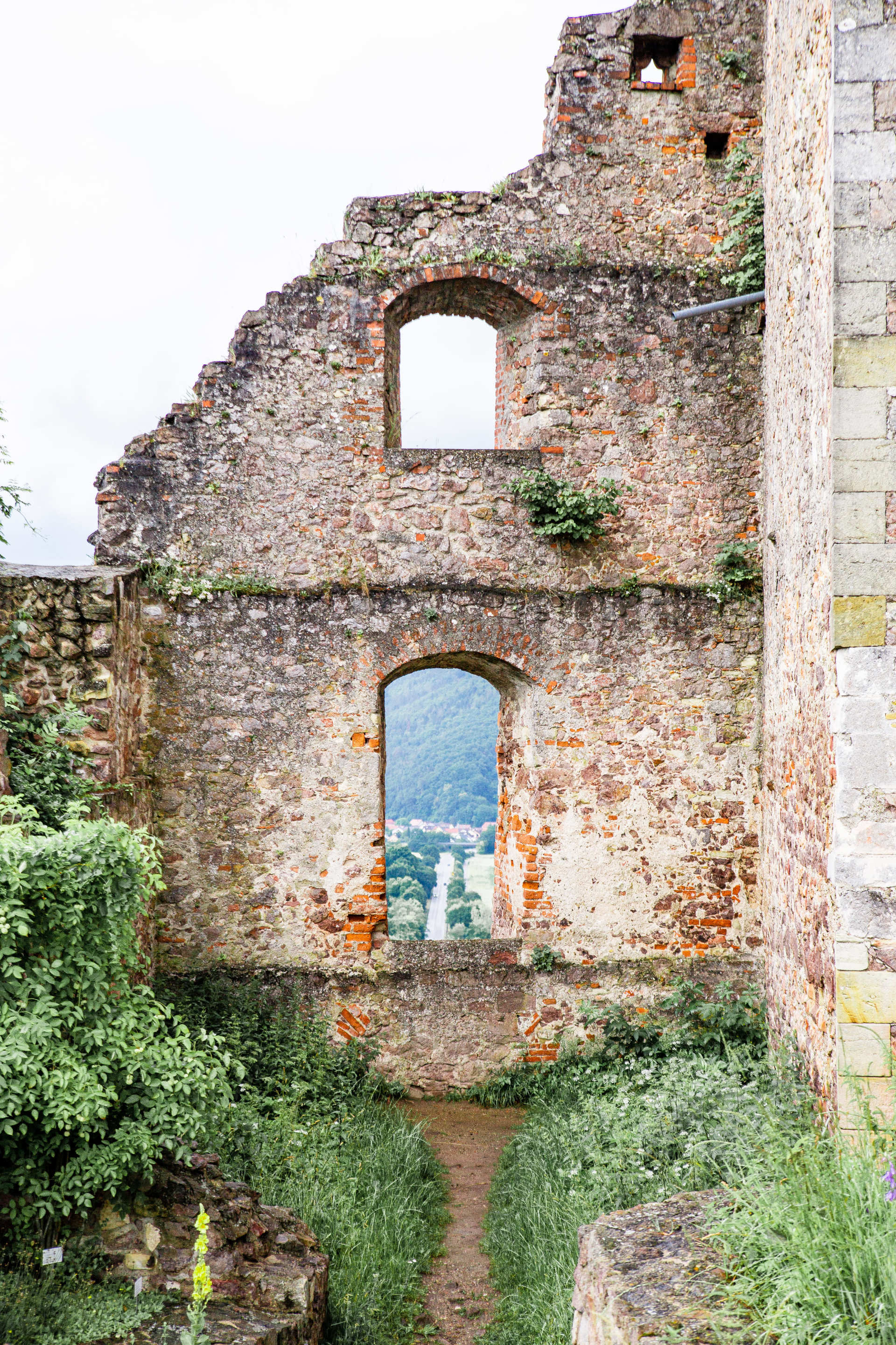 Burgruine in Donaustauf Das Foto zeigt einen Teil der Burgruine in Donaustauf