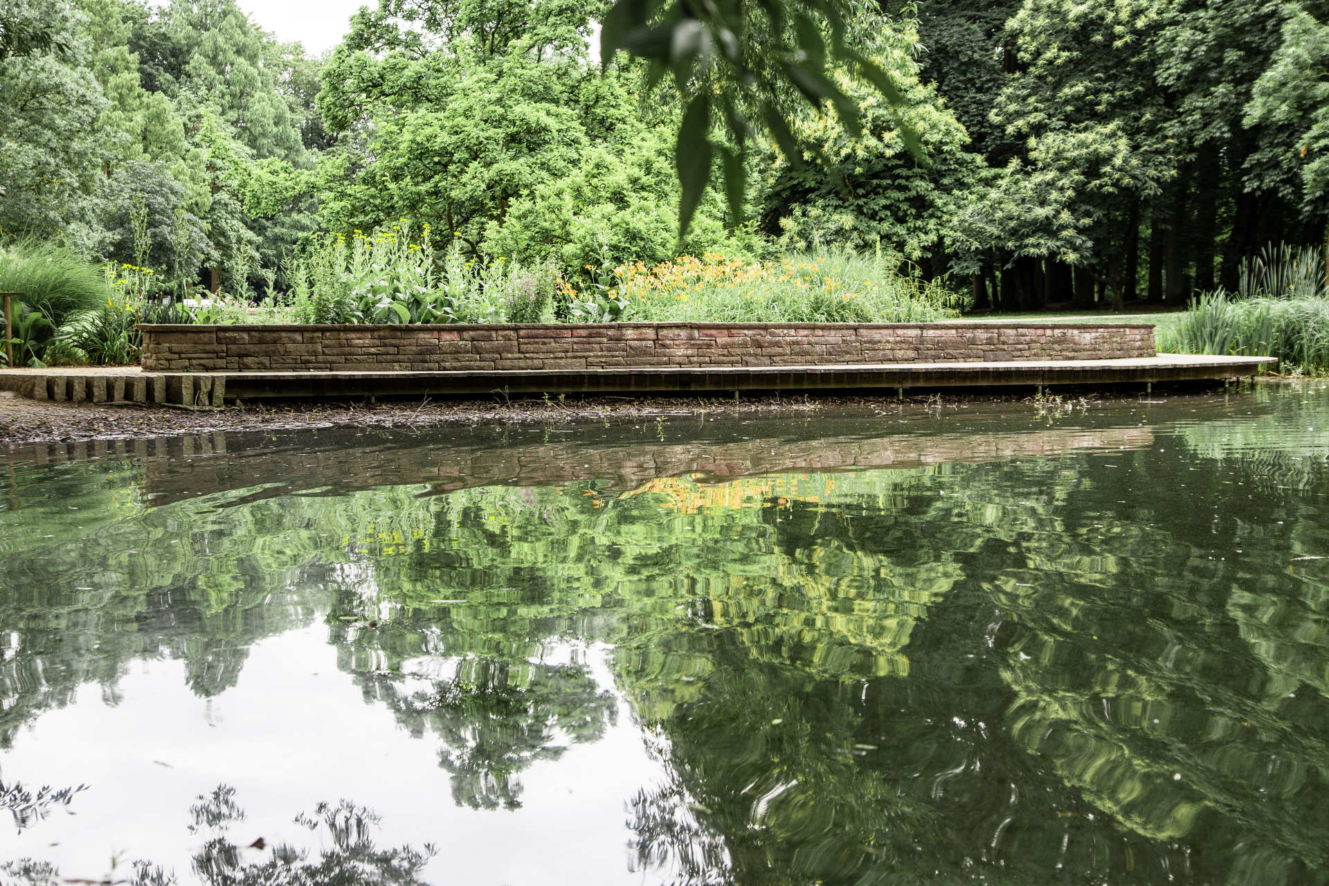 Auf dem Bild sieht man die Spiegelung der Bäume in einem kleinen See im Stadtpark Regensburg