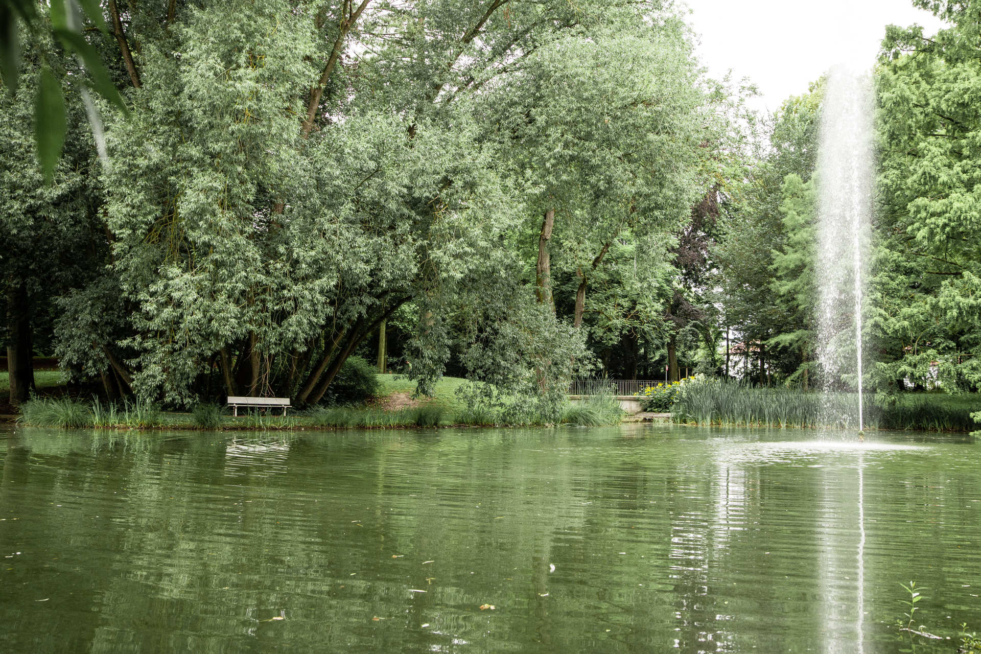 Auf dem Foto sieht man den See im Regensburger Stadtpark mit einer Wasserfontäne