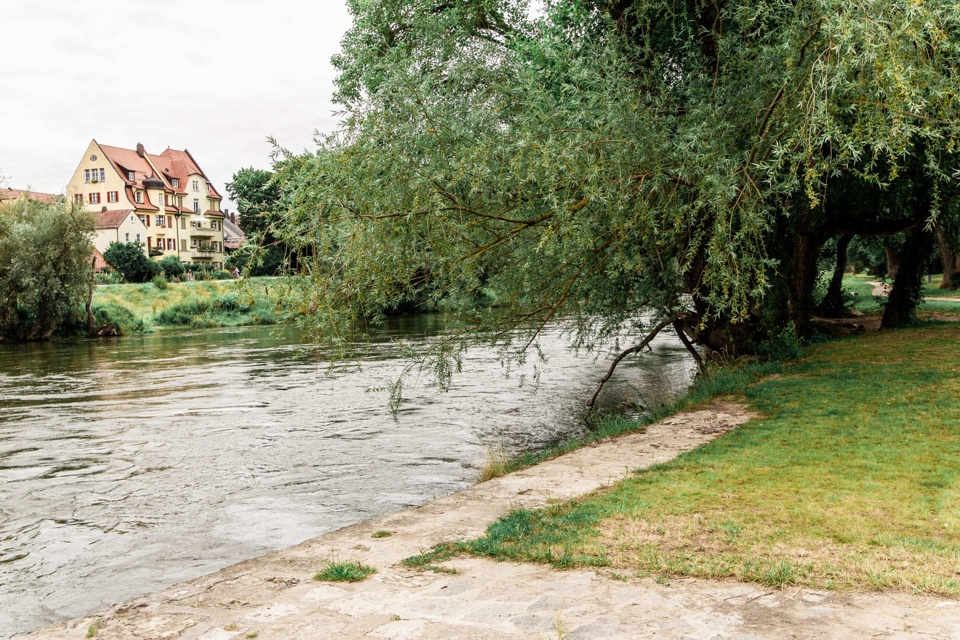Das Bild zeigt die Donau auf der Jahninsel Regensburg