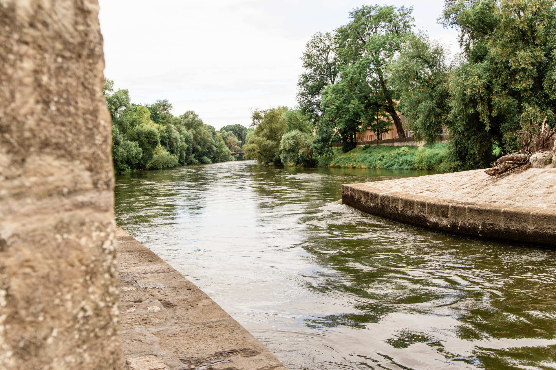 Man sieht die Donau unter den Brückenpfeilern der steinernen Brücke durchfließen