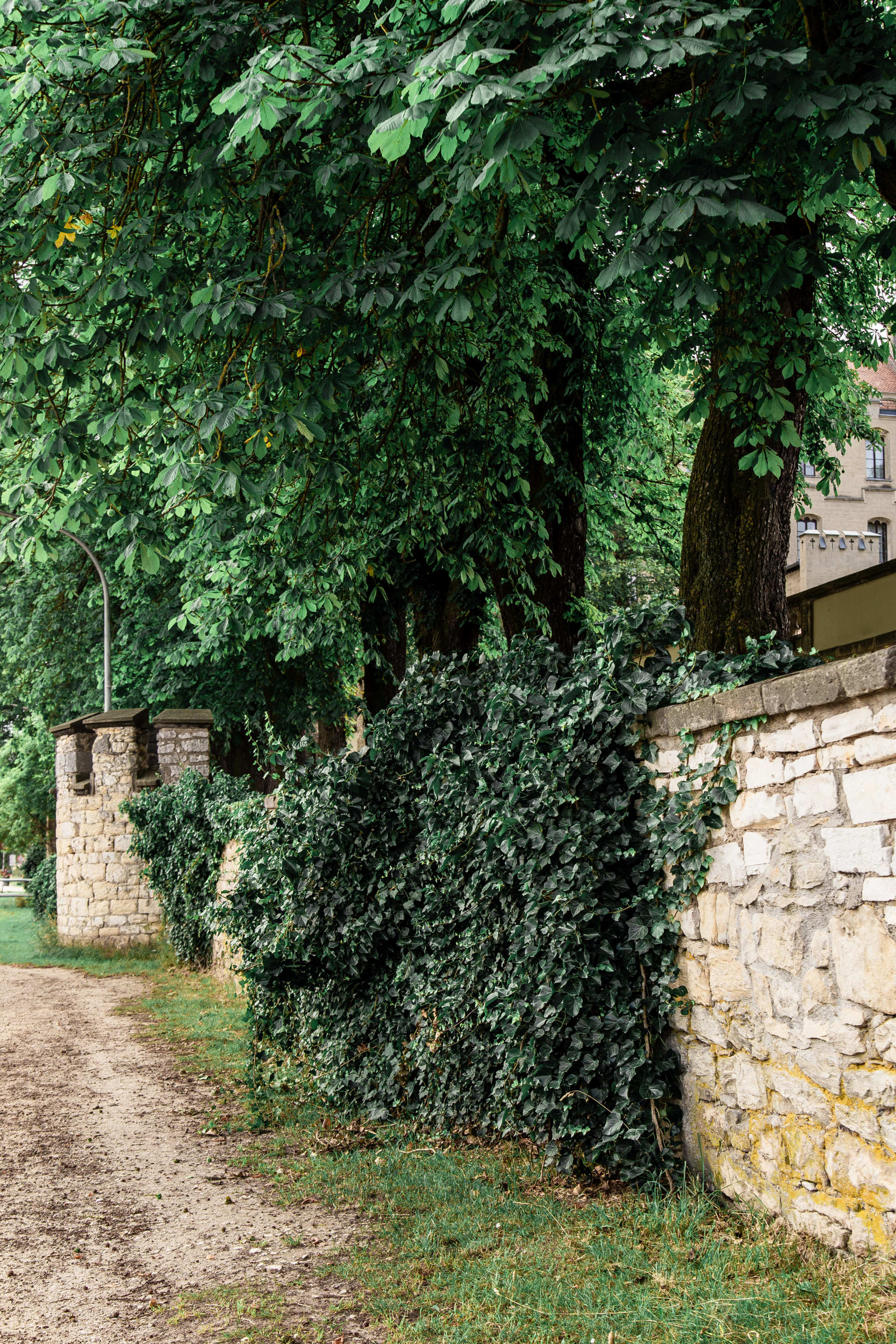 Das Bild zeigt die alten Mauern in einem Regensburger Park