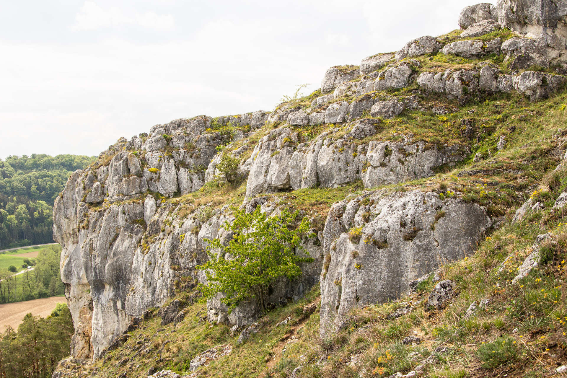Felsformationen in Schönhofen Das Foto zeigt große Steinfelsen in Schönhofen