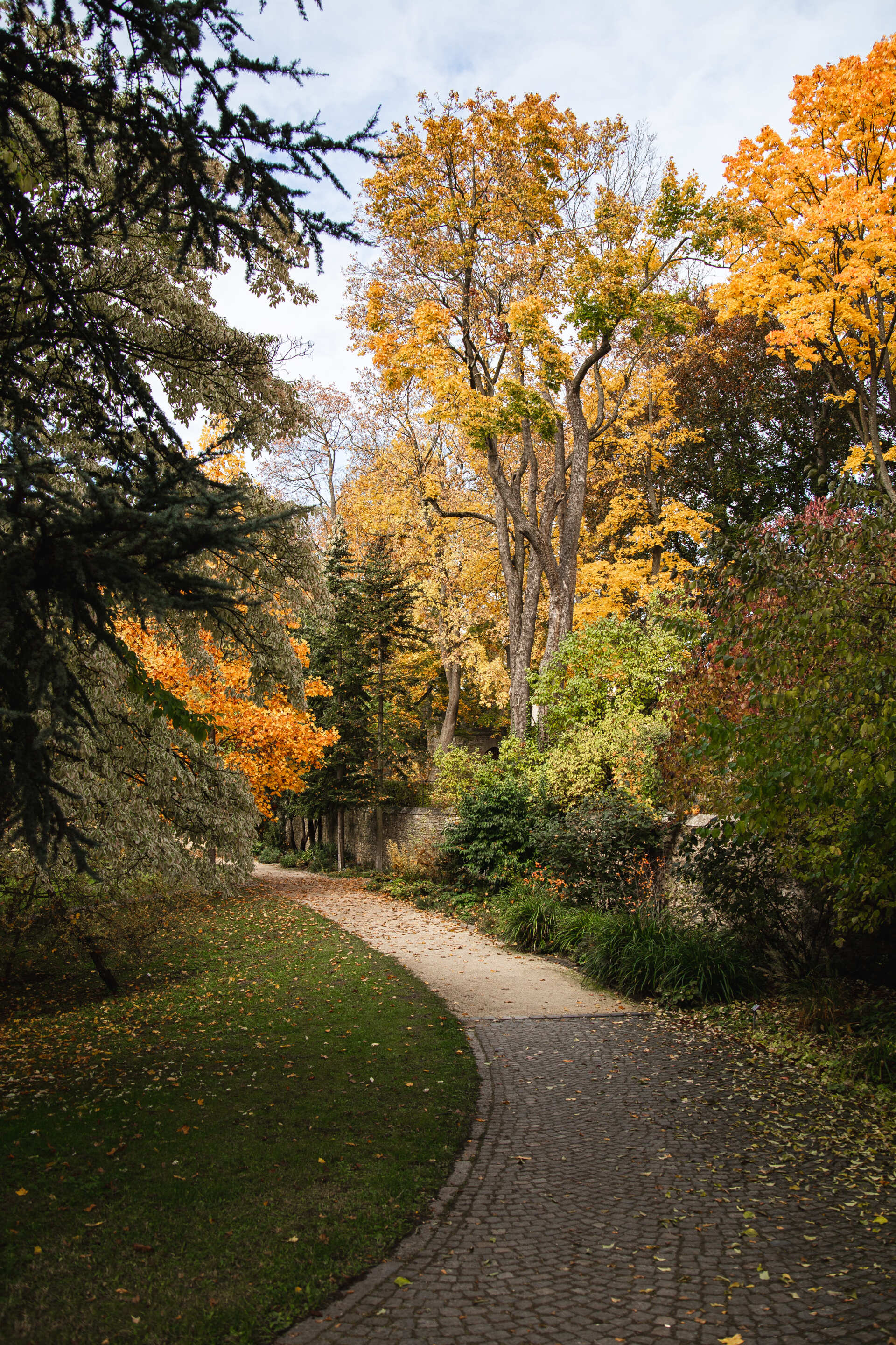 Dieses Foto zeigt den Herzogspark in Regensburg