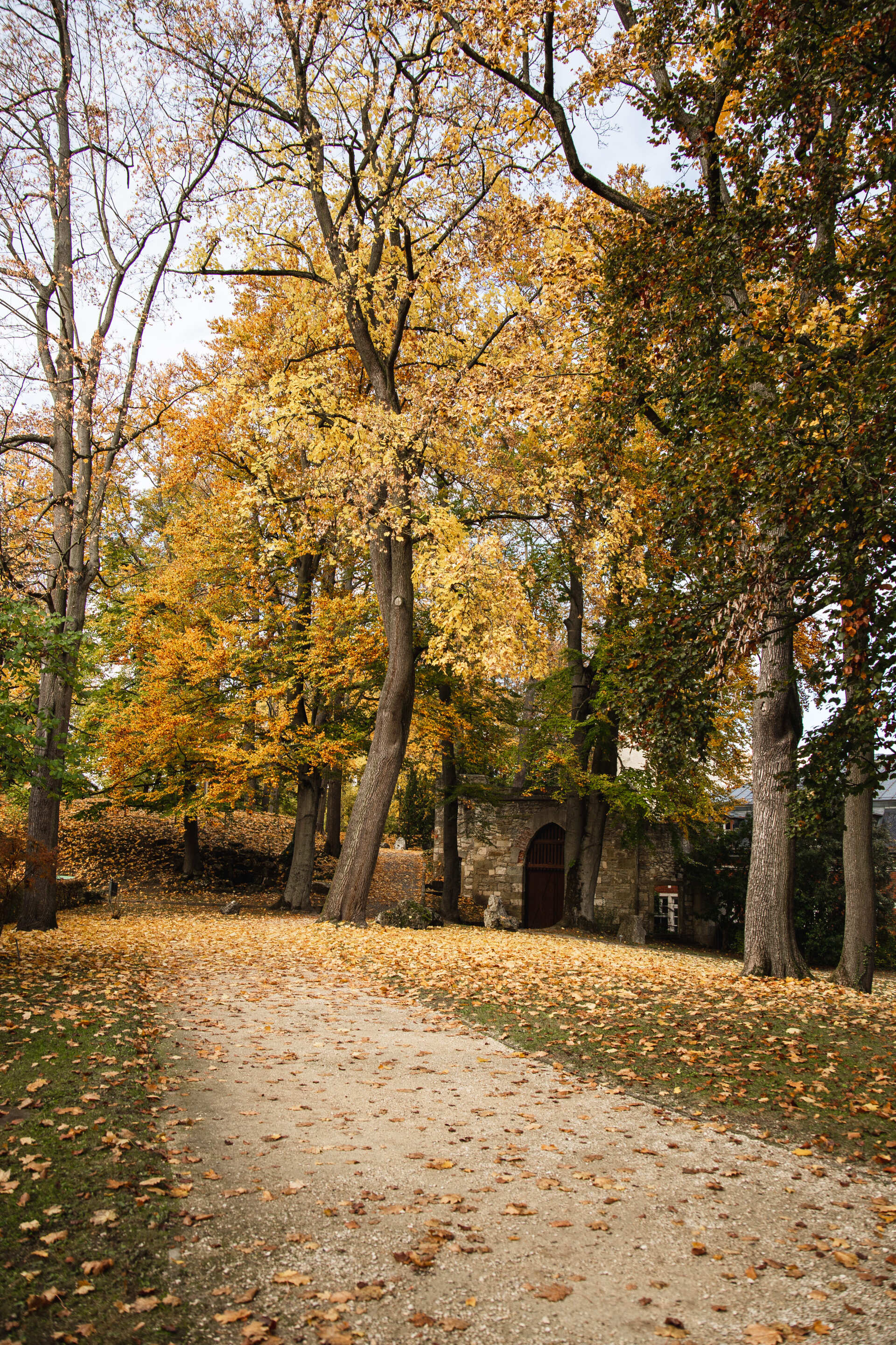 Dieses Bild zeigt den Herzogspark in Regensburg im Herbst