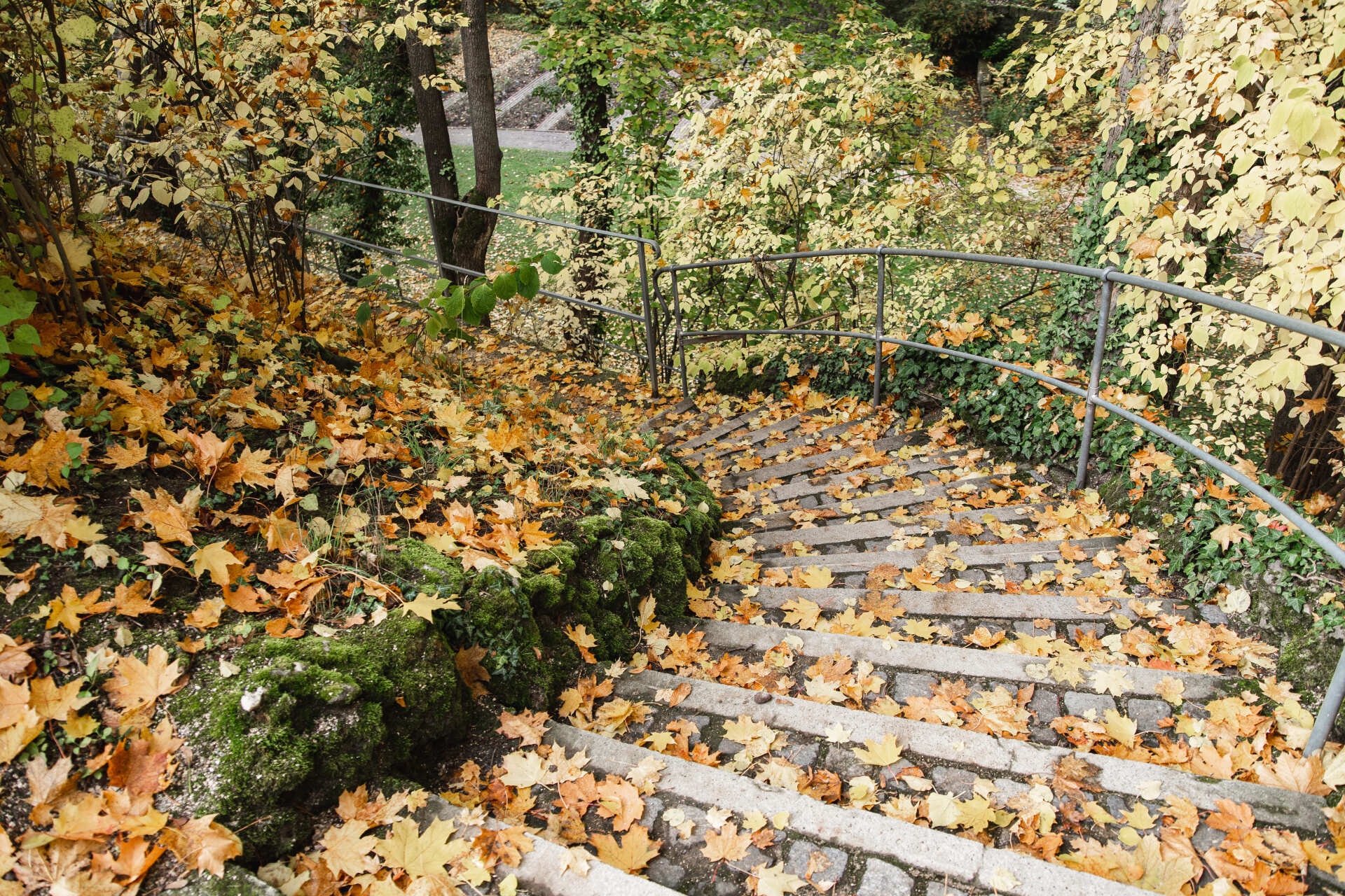 Das Bild zeigt eine Treppe des Regensburger Herzogsparks im Herbst