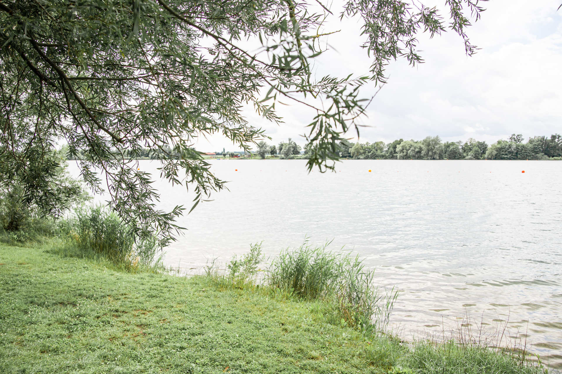 Das Bild zeigt einen Ausschnitts des Naherholungsgebiets in Neutraubling