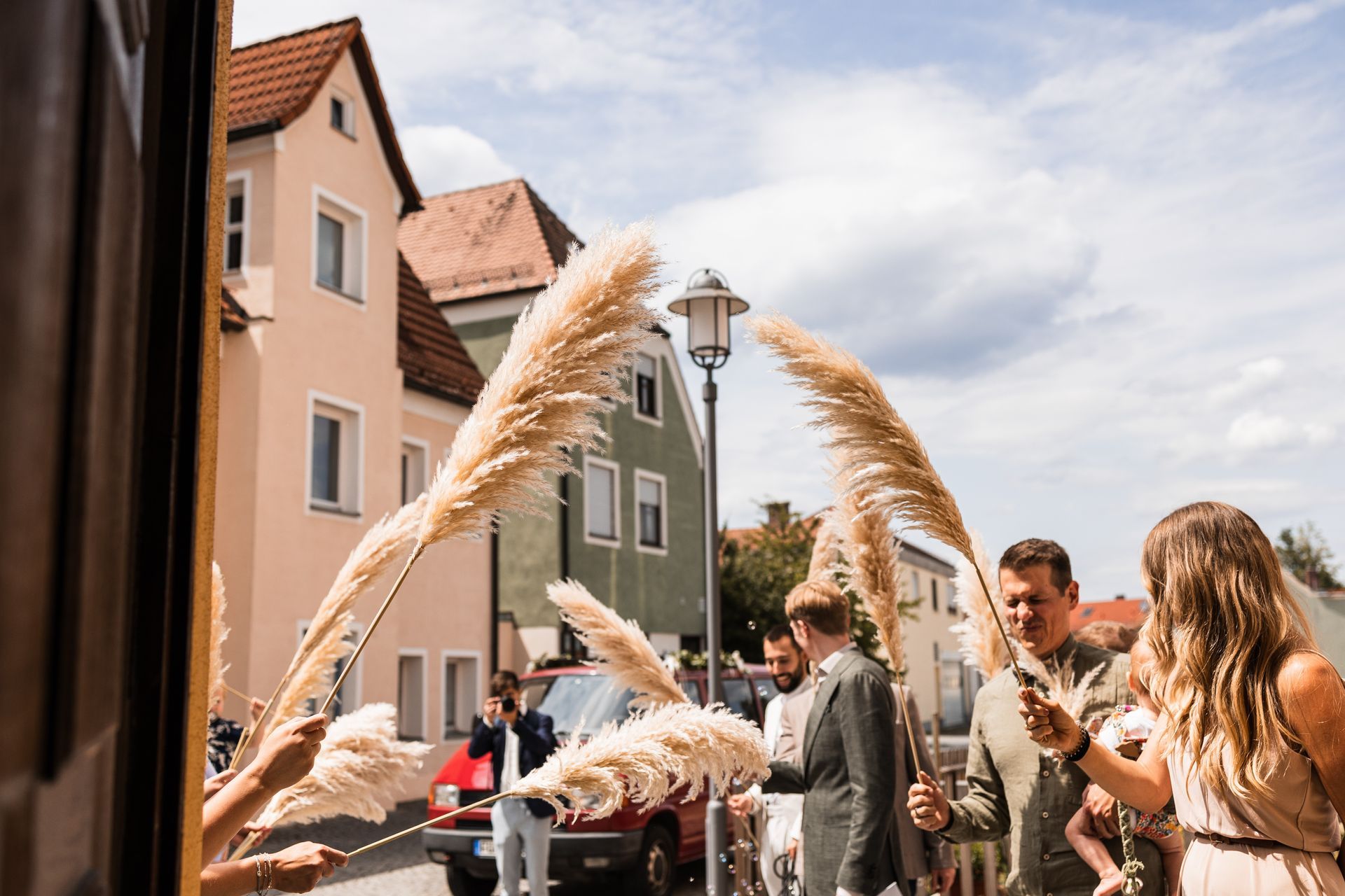 Pampasgras Auf diesem Foto sieht man Pampasgras