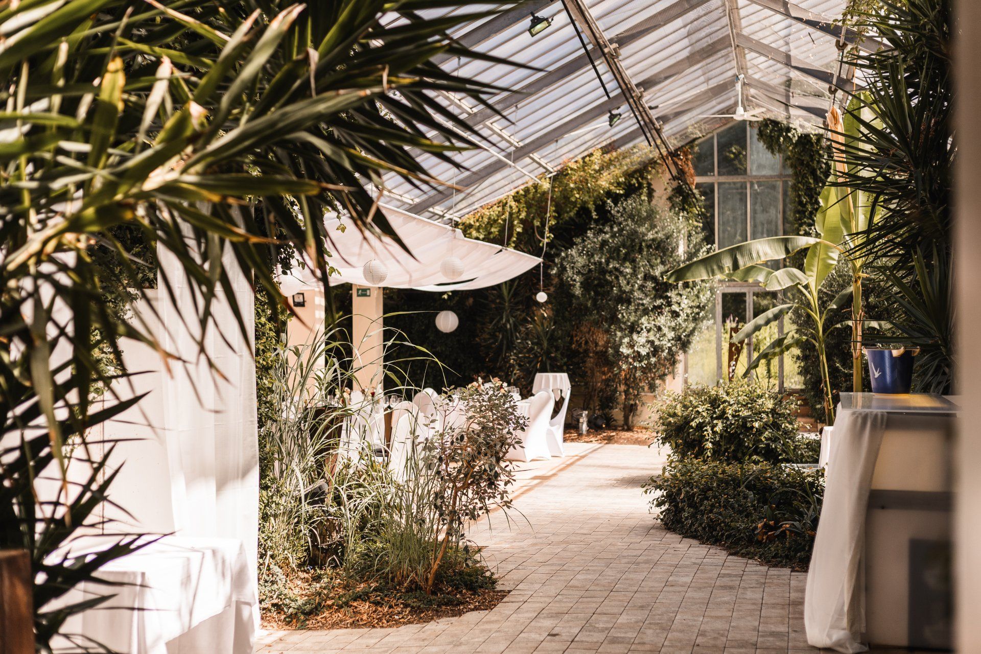 Auf diesem Foto sieht man den Vogelhaus in Bad Abbach von innen