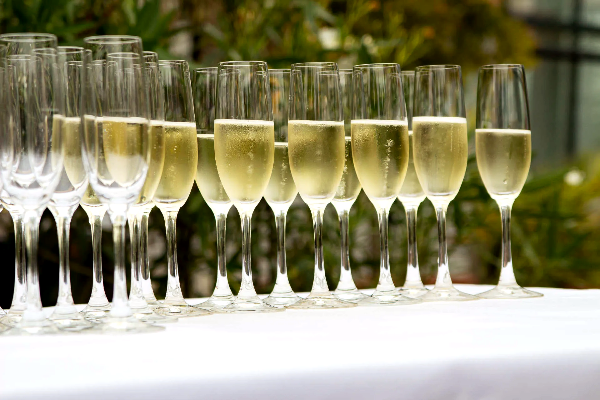 Sektgläser auf der Hochzeit Das Bild zeigt viele Sektgläser