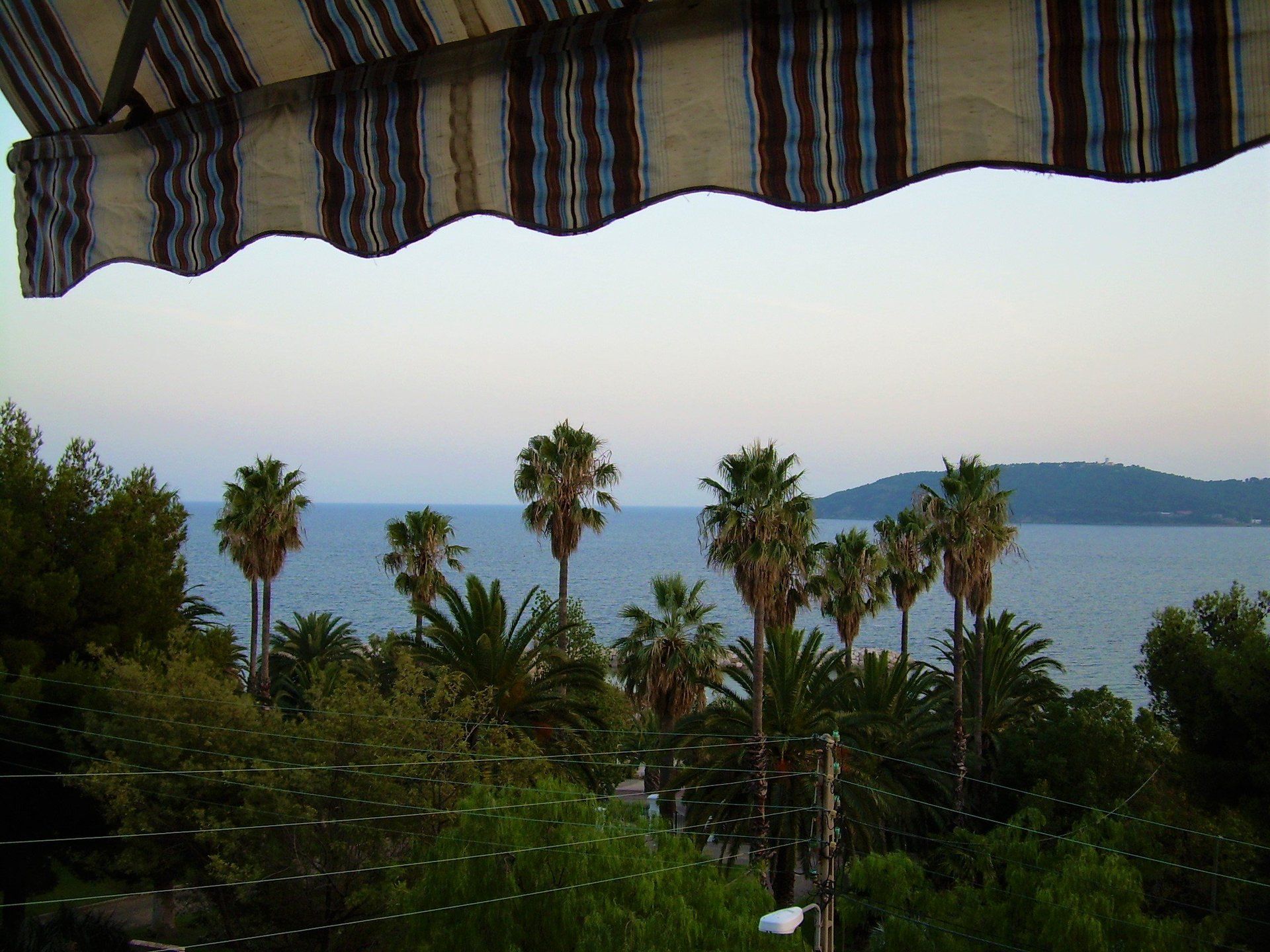vue mer et palmier avec store depuis un appartement au mourillon à toulon