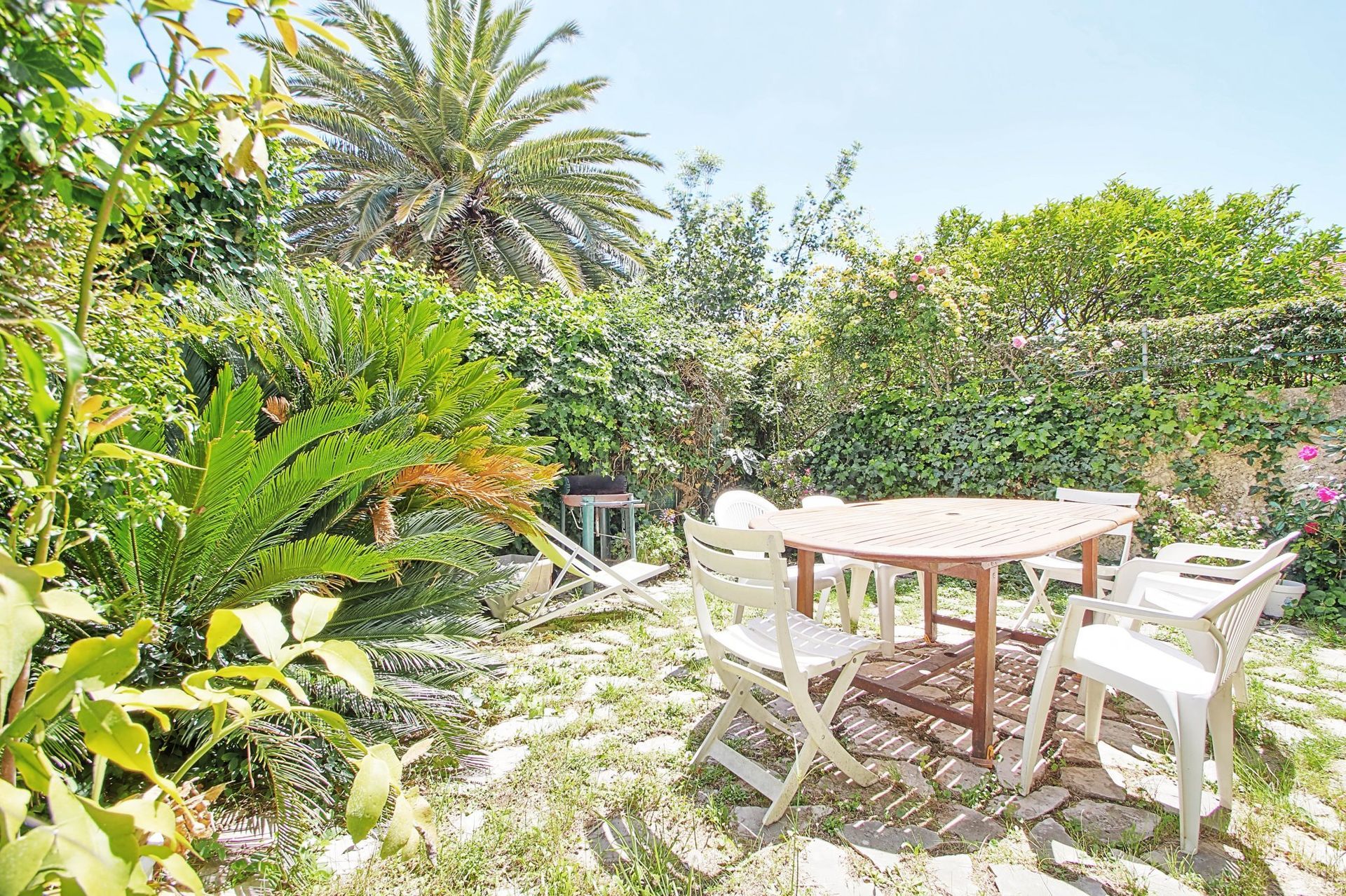 jardin avec palmiers et table