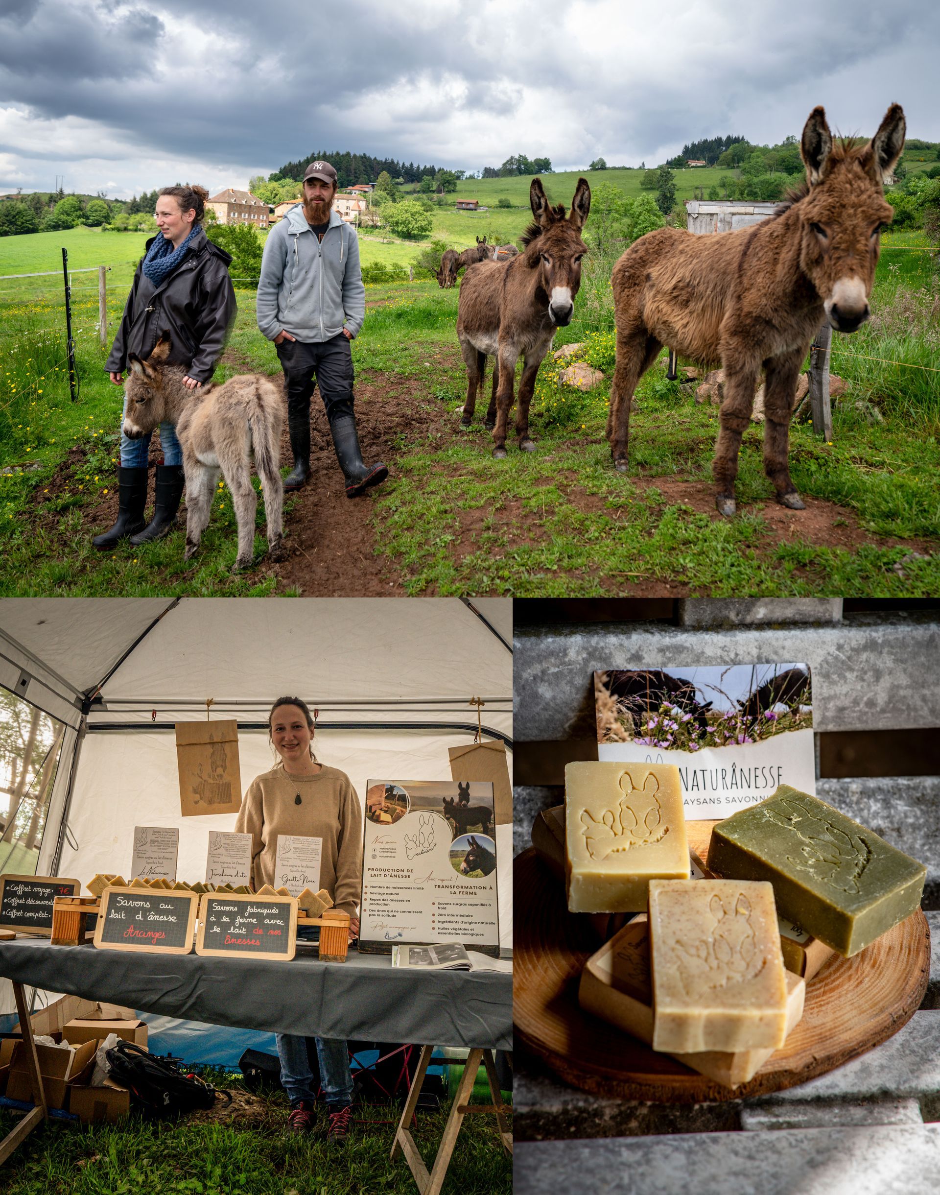 savons au lait d'ânesse, production artisanale, saponification à froid, produits biologiques, bien-être animal, visite de la ferme, savonnerie artisanale, produits naturels, cosmétiques bio, fabrication locale, marché de producteurs, savons surgras