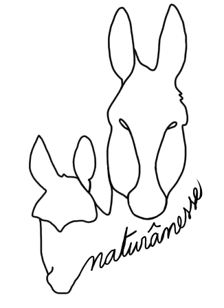 savons au lait d'ânesse, production artisanale, saponification à froid, produits biologiques, bien-être animal, visite de la ferme, savonnerie artisanale, produits naturels, cosmétiques bio, fabrication locale, marché de producteurs, savons surgras