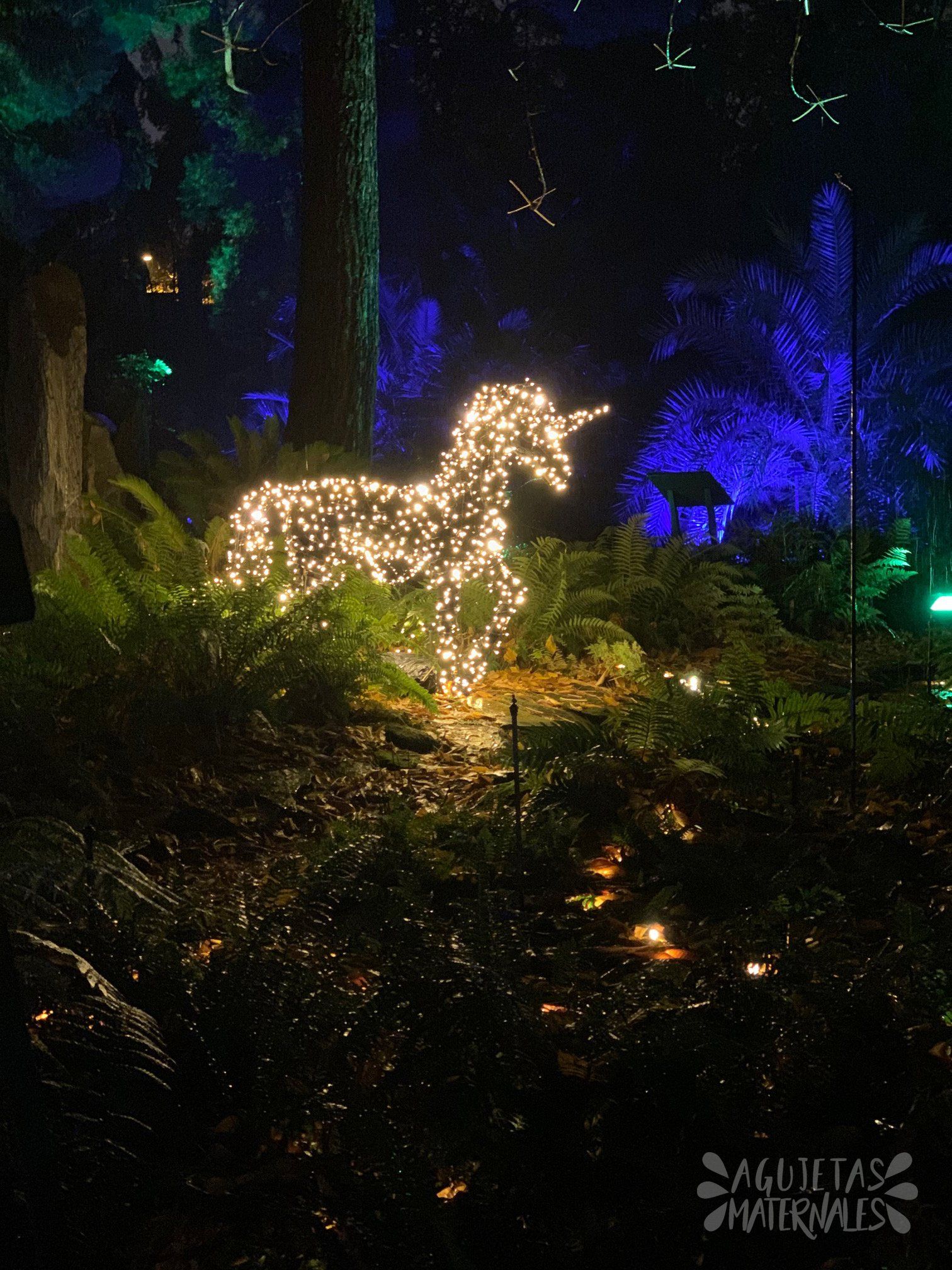 Las luces del real jardín botánico