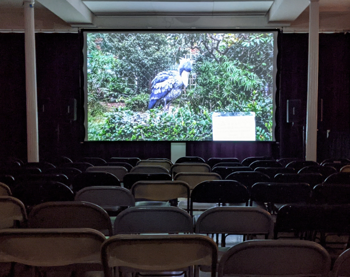 Film screening with a 180 inch diagonal screen by The House Of Jax Film screening with a 180 inch diagonal screen by The House Of Jax