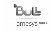 Access-united-client-bull-amesys