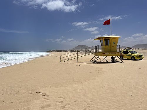 combine-les-canaries