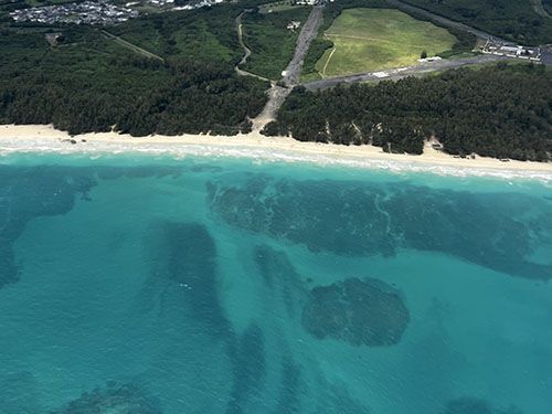 Îles d'Hawaï : O'ahu by Access united