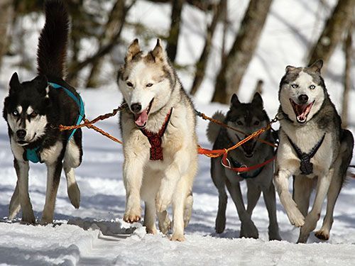 seminaire-isola-2000