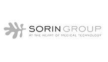 Access-united-client-sorin-group