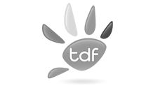 Access-united-client-tdf