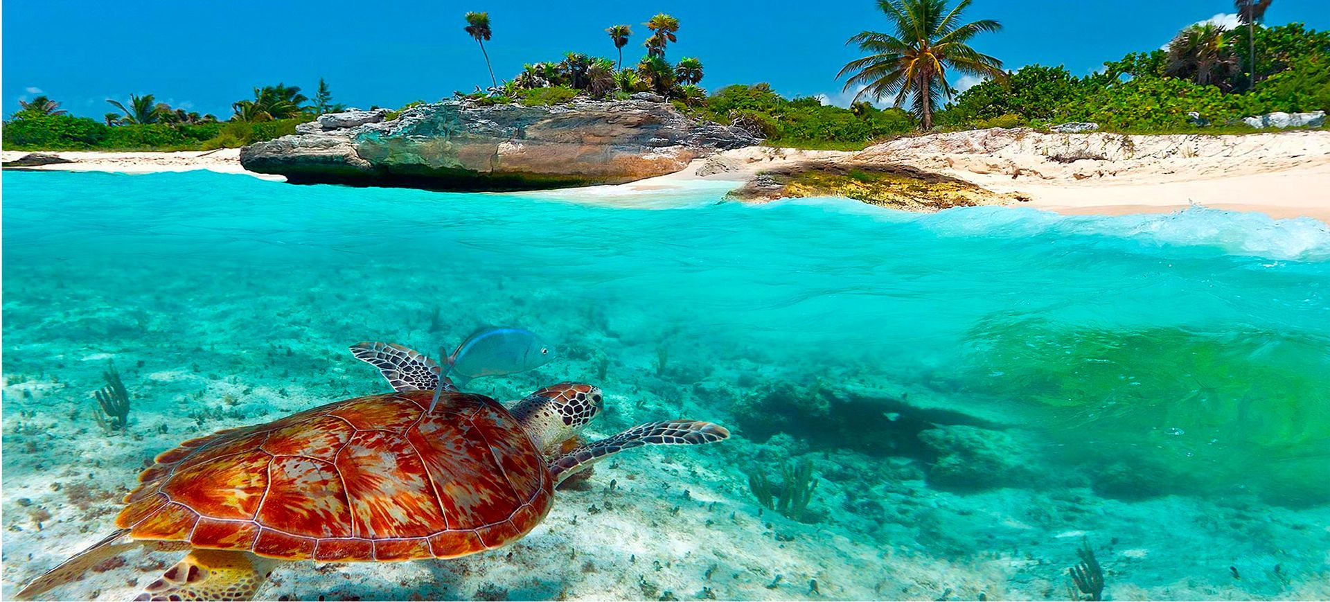 Voyage au Mexique, Mexico et Cancun